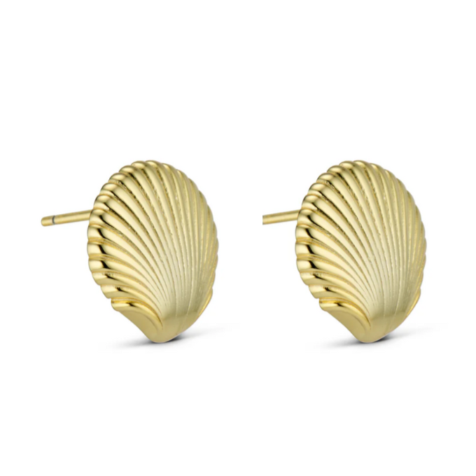 Shell Earring