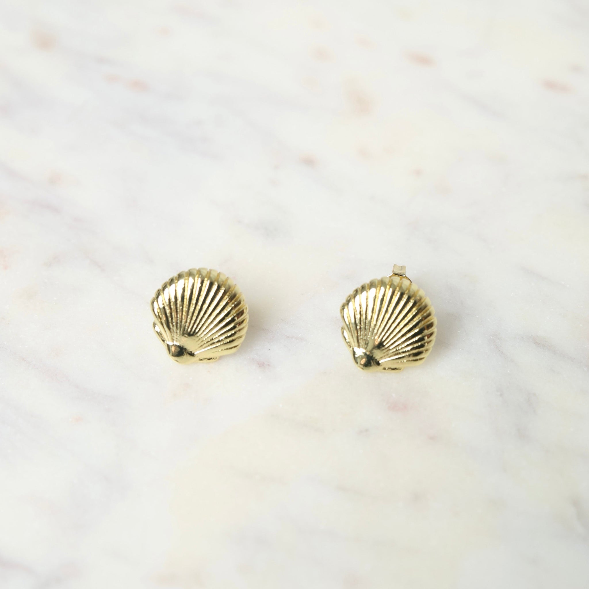 Shell Earring